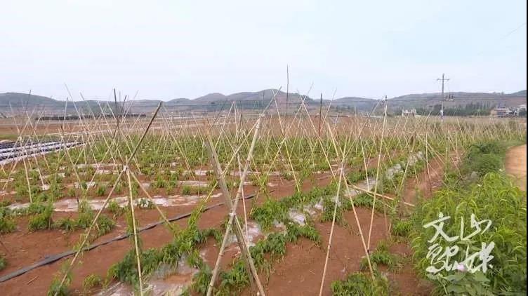 88体育 - 美加墨最新赛事资讯-现场直播