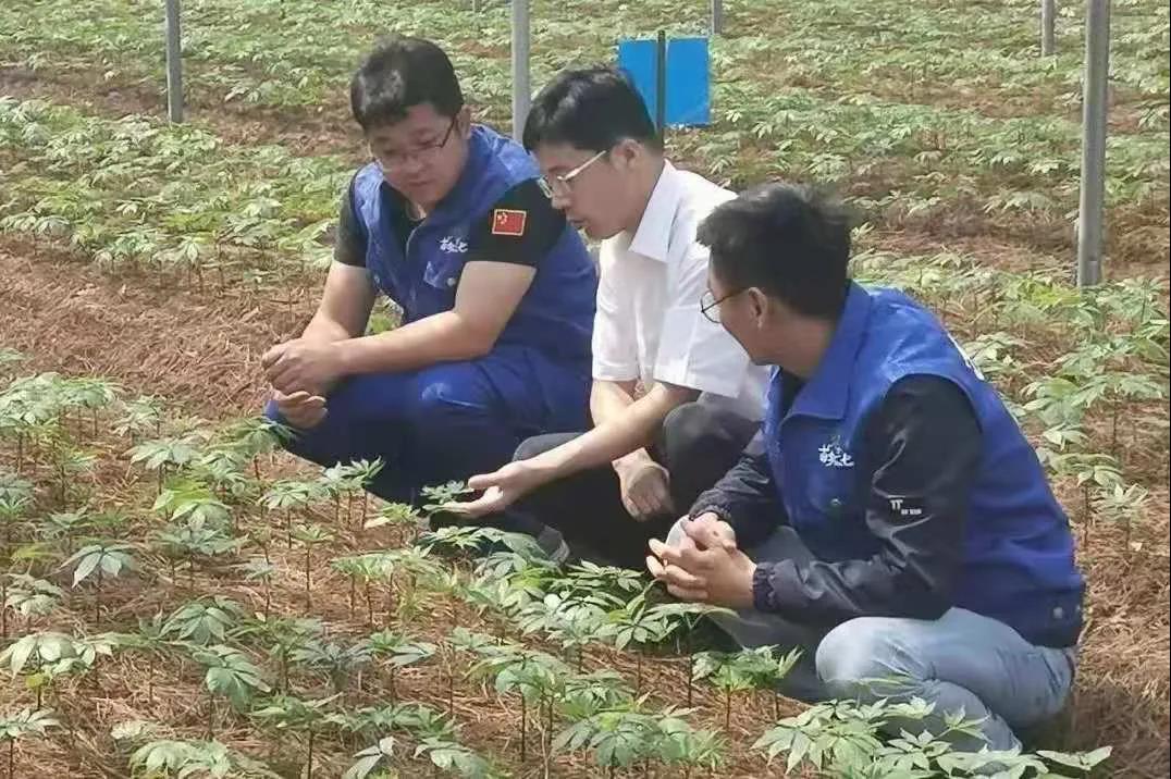 88体育 - 美加墨最新赛事资讯-现场直播