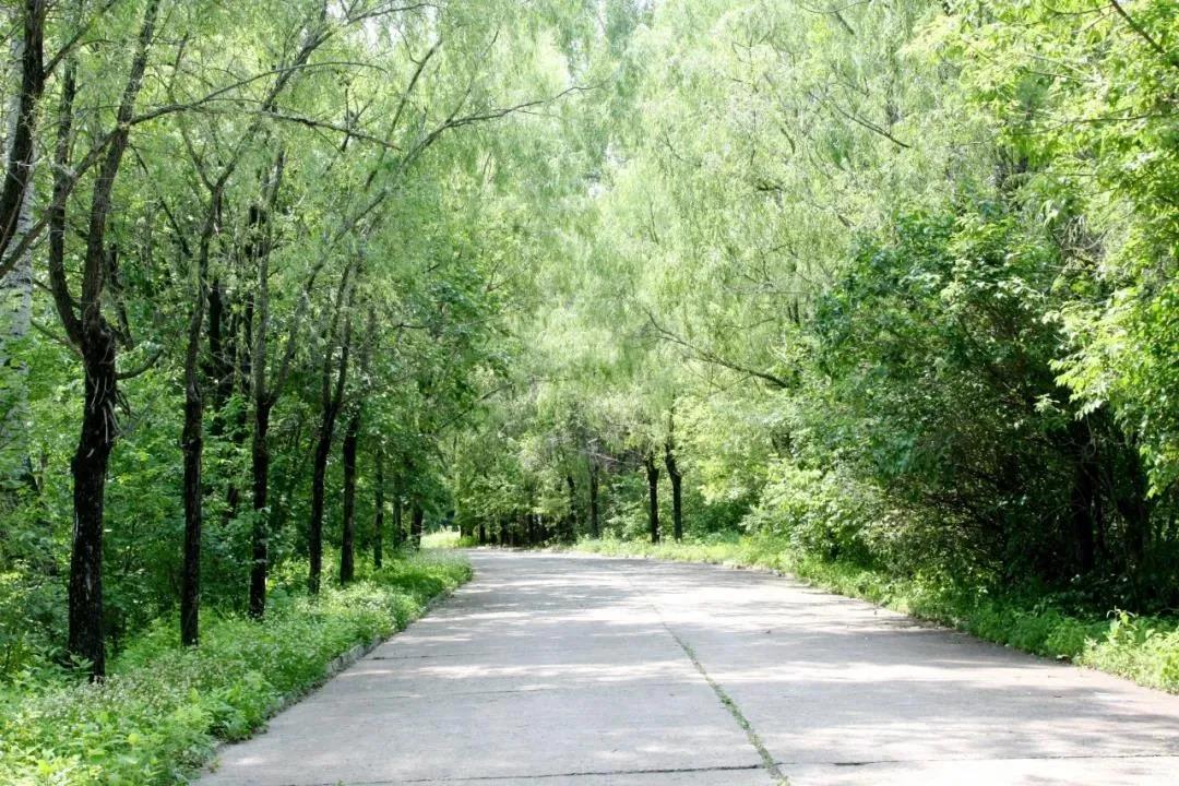 88体育 - 美加墨最新赛事资讯-现场直播