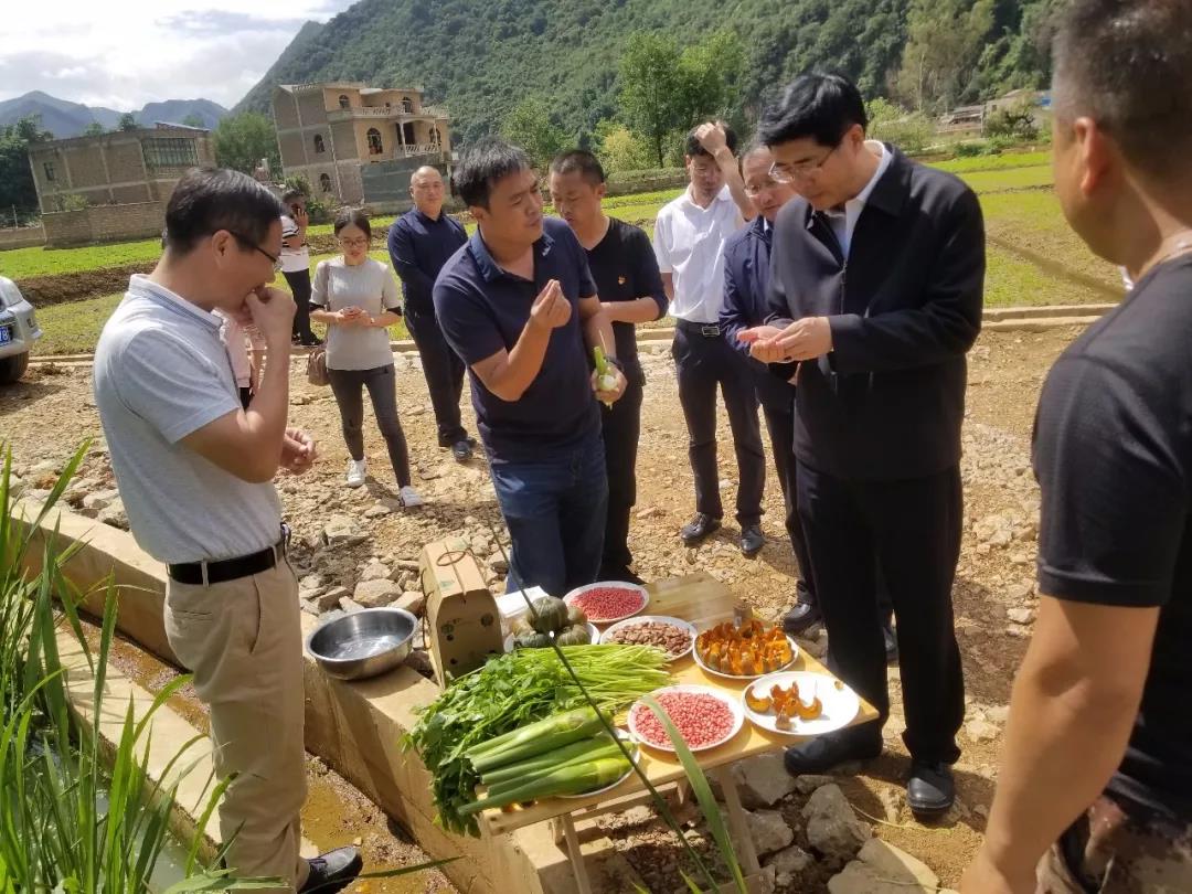88体育 - 美加墨最新赛事资讯-现场直播
