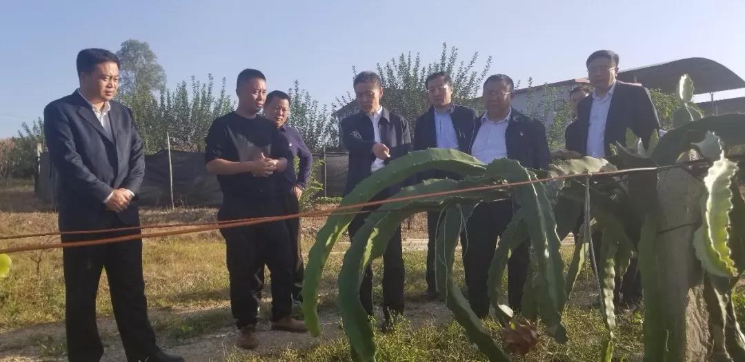 88体育 - 美加墨最新赛事资讯-现场直播