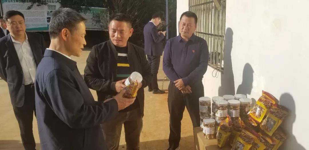 88体育 - 美加墨最新赛事资讯-现场直播